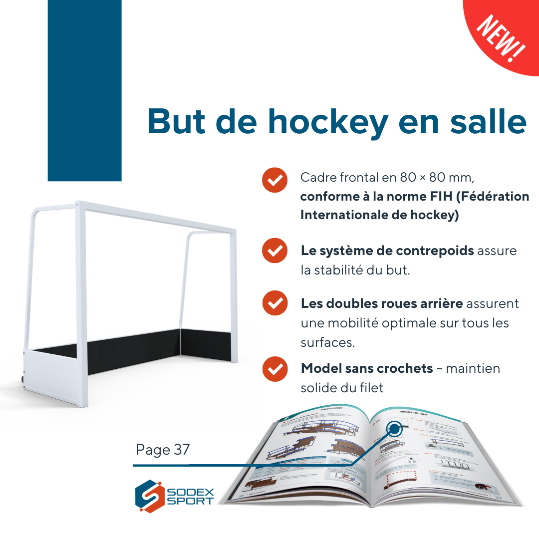 sodex-but-de-hockey-en-salle